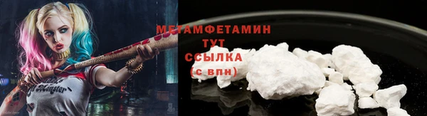 дживик Инта