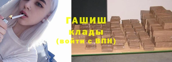 дживик Инта