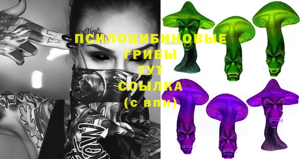 СК Инсар
