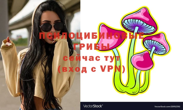 молекула духа Зеленокумск