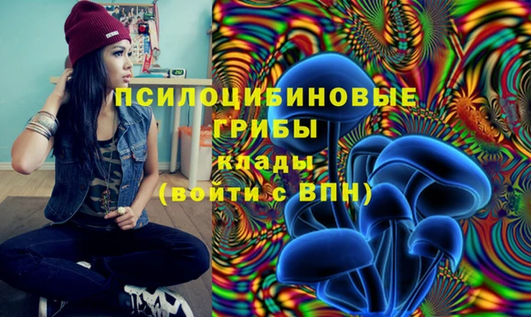 молекула духа Зеленокумск