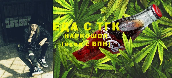 дживик Инта