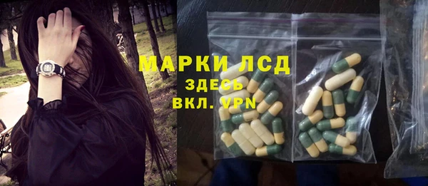 СК Инсар
